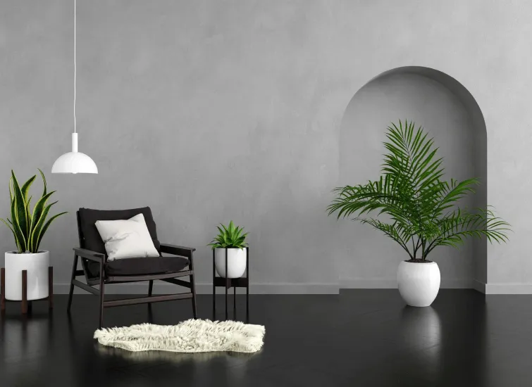 Home_Purchace_loan
