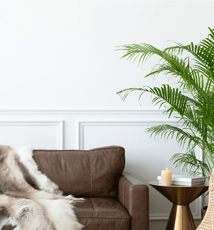 Home equity investment visual